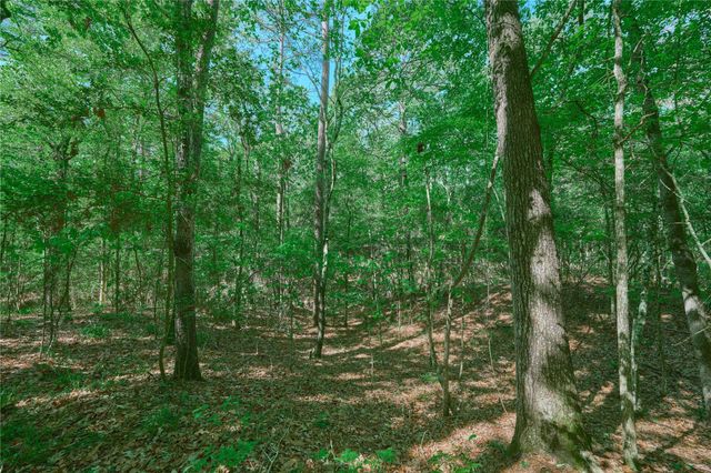 47 Stagecoach Road, Coldspring, TX 77331