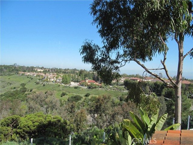 17 Savona Court, Newport Coast, CA 92657