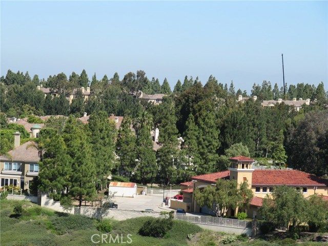 17 Savona Court, Newport Coast, CA 92657