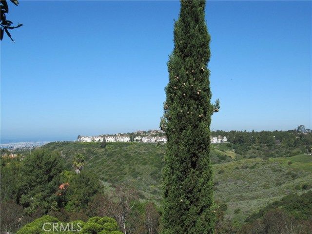 17 Savona Court, Newport Coast, CA 92657