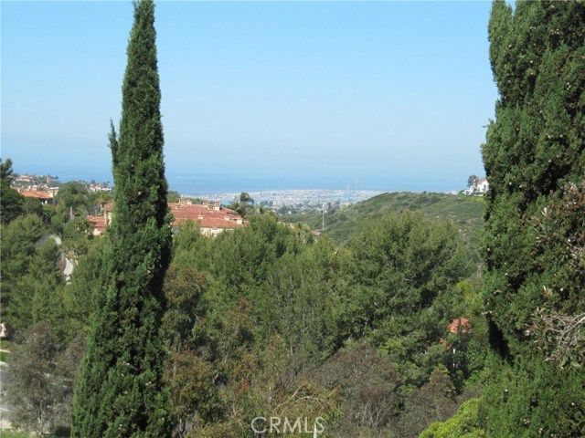 17 Savona Court, Newport Coast, CA 92657