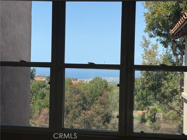17 Savona Court, Newport Coast, CA 92657