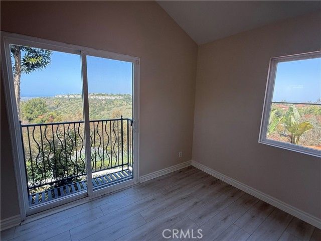 17 Savona Court, Newport Coast, CA 92657