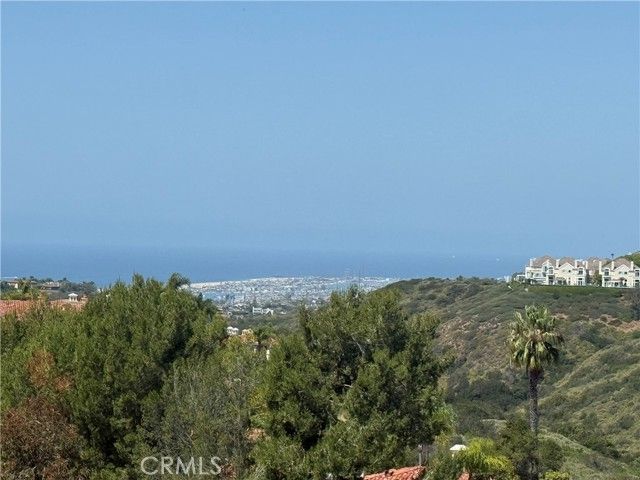 17 Savona Court, Newport Coast, CA 92657