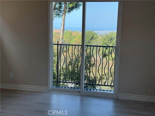 17 Savona Court, Newport Coast, CA 92657