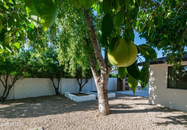 5819 E LUDLOW Drive, Scottsdale, AZ 85254