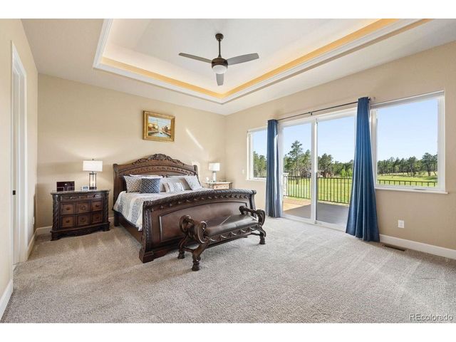 14894 Snowy Pine Pt, Colorado Springs, CO 80908