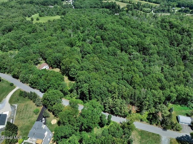 1007 Chamberlin Hill Rd Extension, Sand Lake, NY 12196