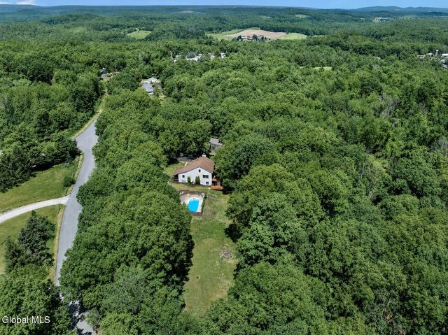 1007 Chamberlin Hill Rd Extension, Sand Lake, NY 12196