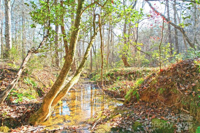 0 Brookside Parkway 43, Lake Lure, NC 28746