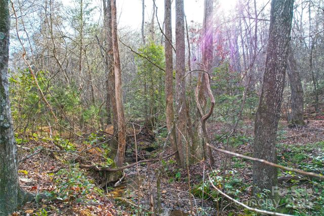 0 Brookside Parkway 43, Lake Lure, NC 28746