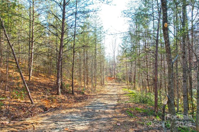 0 Brookside Parkway 43, Lake Lure, NC 28746