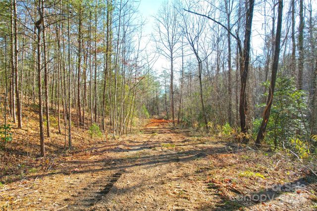 0 Brookside Parkway 43, Lake Lure, NC 28746