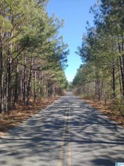 0002 MCKESIE STREET, Riverside, AL 35135