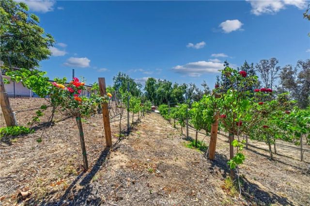 36210 Tonto, Temecula, CA 92592