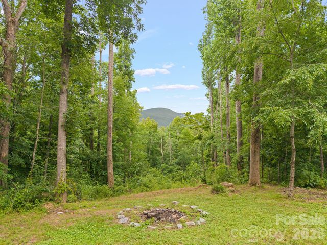 813 Beech Tree Place, Hendersonville, NC 28792