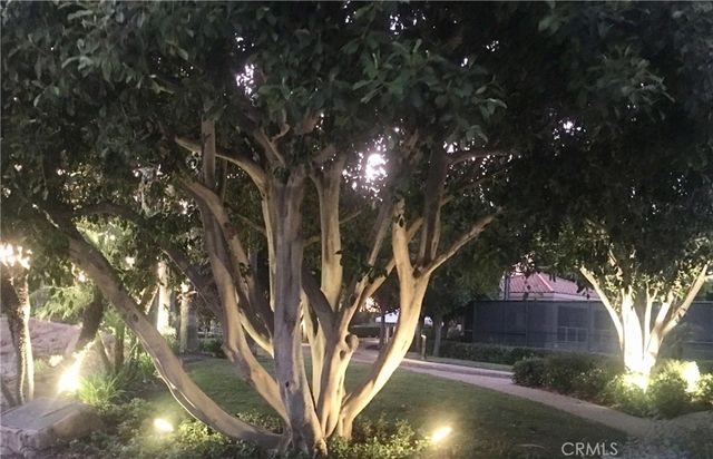 21531 Paseo Palmetto, Mission Viejo, CA 92692