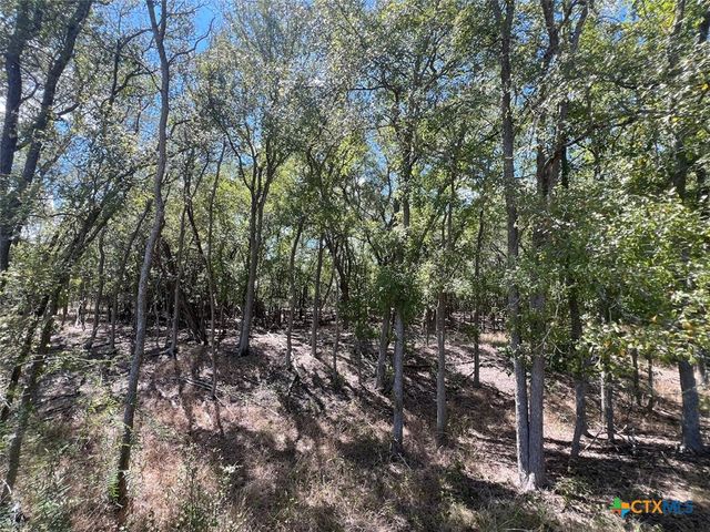 TBD Pierce Street, Luling, TX 78648