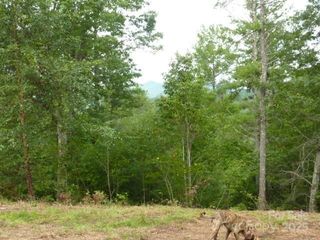 240 Thunderhead Drive, Marshall, NC 28753