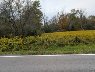 Gorton Road, Hamilton, NY 13346