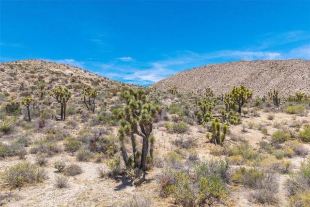 55652 Buena Vista, Yucca Valley, CA 92284