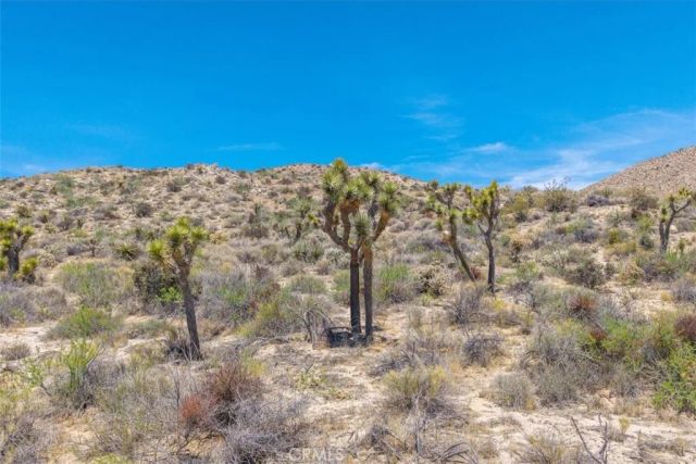 55652 Buena Vista, Yucca Valley, CA 92284