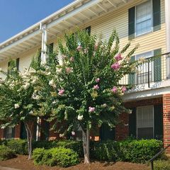 900 Mountain Creek Rd K 143, Chattanooga, TN 37405