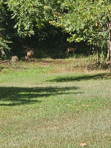 507 Nosco Road, Junction City, KY 40440