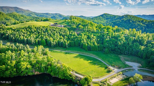 Tbd Cowan Town & Eagle Ridge Pkwy Road, Butler, TN 37640