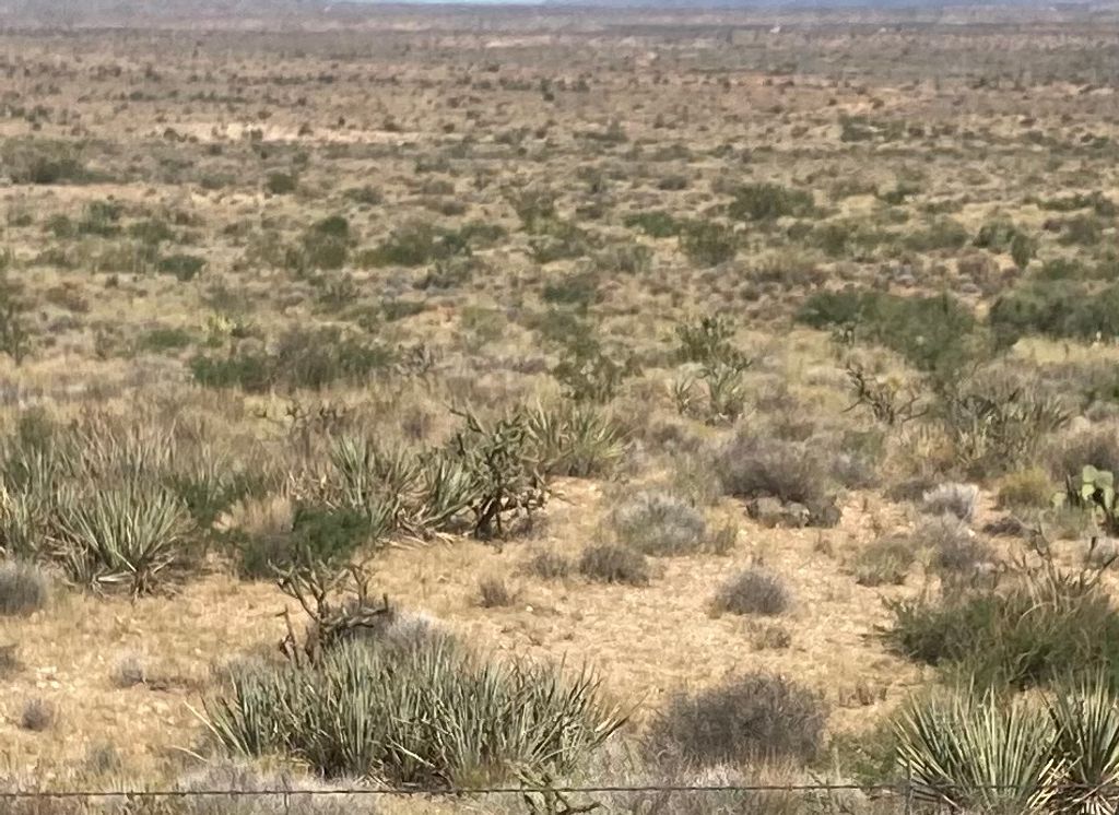 6989 N Horse Mesa Road, Golden Valley, AZ 86413