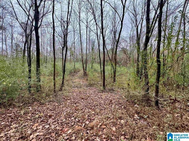 8260 KERMIT JOHNSON ROAD, Pinson, AL 35126