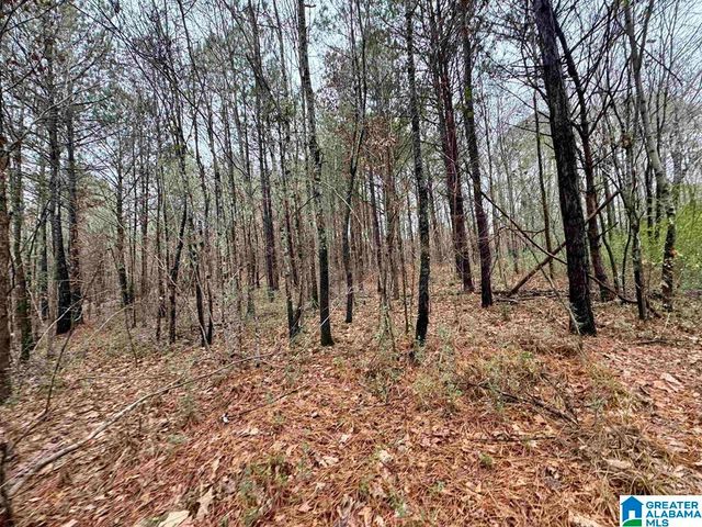 8260 KERMIT JOHNSON ROAD, Pinson, AL 35126