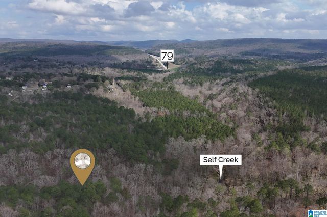8260 KERMIT JOHNSON ROAD, Pinson, AL 35126