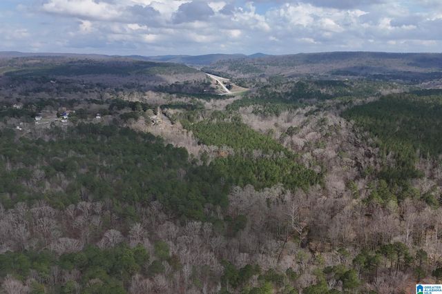 8260 KERMIT JOHNSON ROAD, Pinson, AL 35126