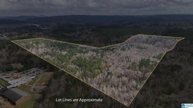 8260 KERMIT JOHNSON ROAD, Pinson, AL 35126