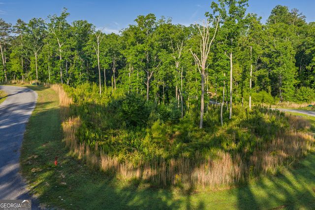 LOT 179 Canoe Point, Ellijay, GA 30540