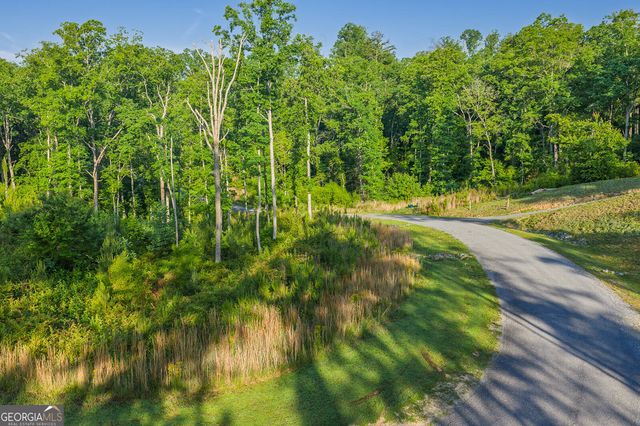 LOT 179 Canoe Point, Ellijay, GA 30540