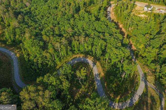 LOT 179 Canoe Point, Ellijay, GA 30540