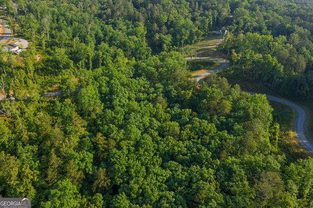 LOT 179 Canoe Point, Ellijay, GA 30540