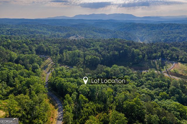 LOT 179 Canoe Point, Ellijay, GA 30540