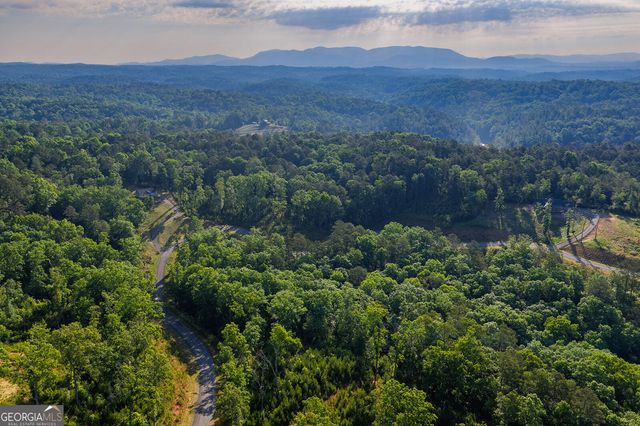LOT 179 Canoe Point, Ellijay, GA 30540