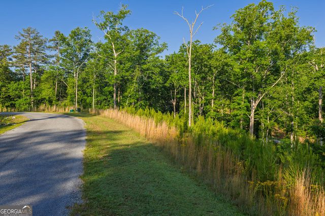LOT 179 Canoe Point, Ellijay, GA 30540