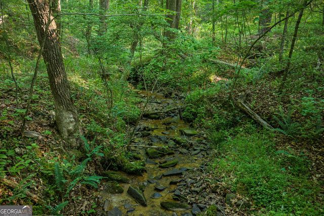 LOT 179 Canoe Point, Ellijay, GA 30540