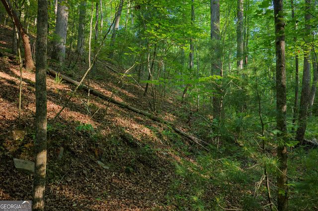 LOT 179 Canoe Point, Ellijay, GA 30540