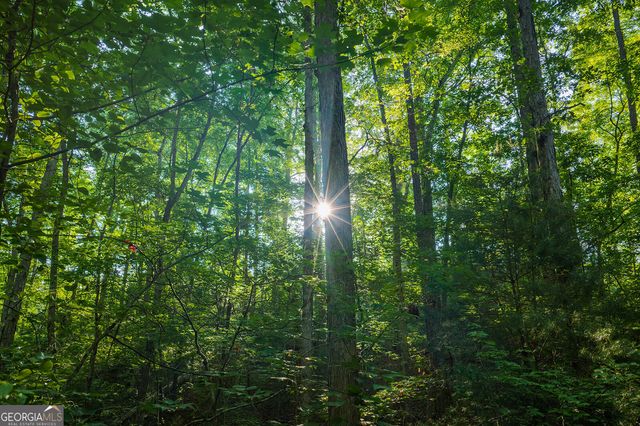LOT 179 Canoe Point, Ellijay, GA 30540