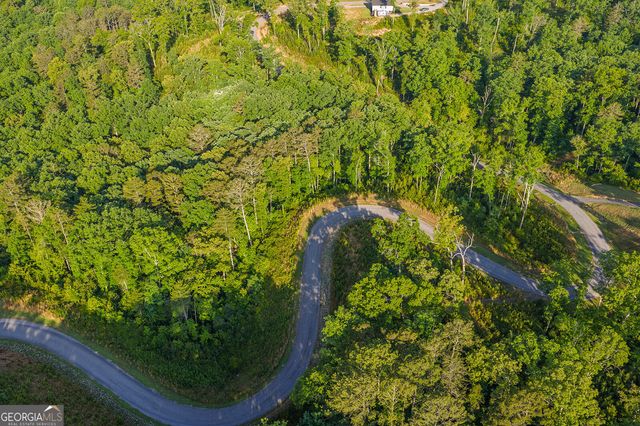LOT 179 Canoe Point, Ellijay, GA 30540