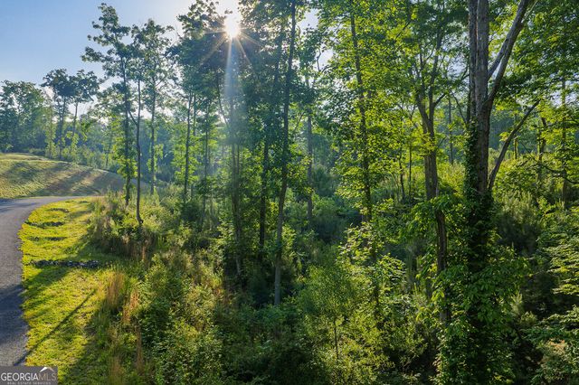 LOT 179 Canoe Point, Ellijay, GA 30540