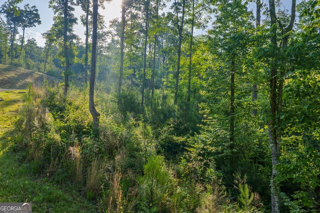LOT 179 Canoe Point, Ellijay, GA 30540