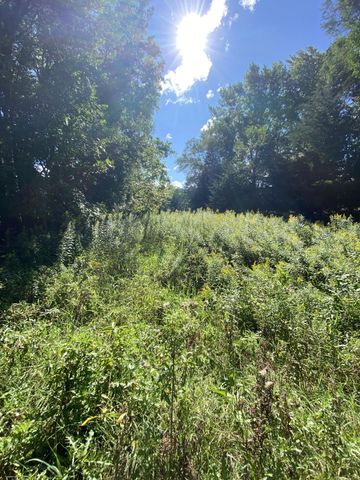 20072 Lander Street NW, Elk River, MN 55330