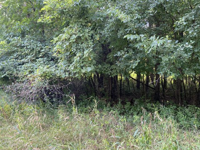 20072 Lander Street NW, Elk River, MN 55330